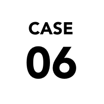 case 06
